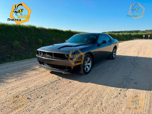 Dodge Challenger - Прокат авто на сутки без водителя