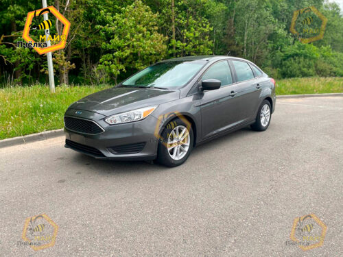 Ford Focus - Прокат авто на сутки без водителя