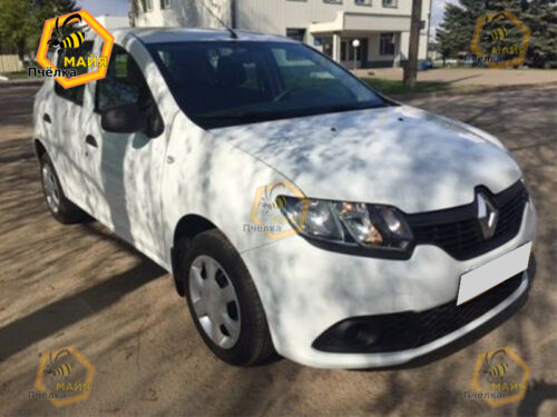 Renault Sandero - Прокат авто на сутки без водителя
