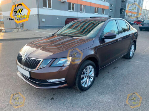 Skoda Octavia - Прокат авто на сутки без водителя