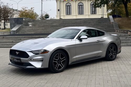 Ford Mustang Coupe Gray, 2020г