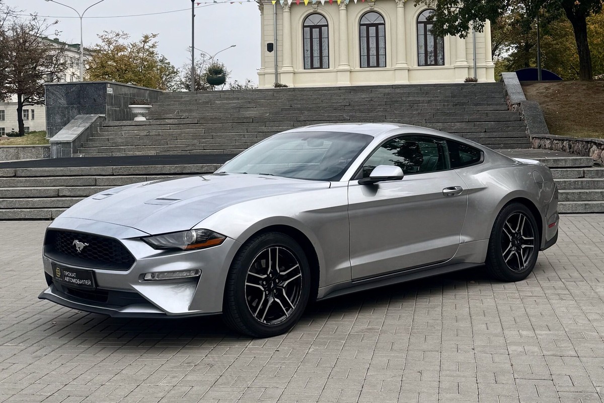 Ford Mustang Coupe Gray, 2020г