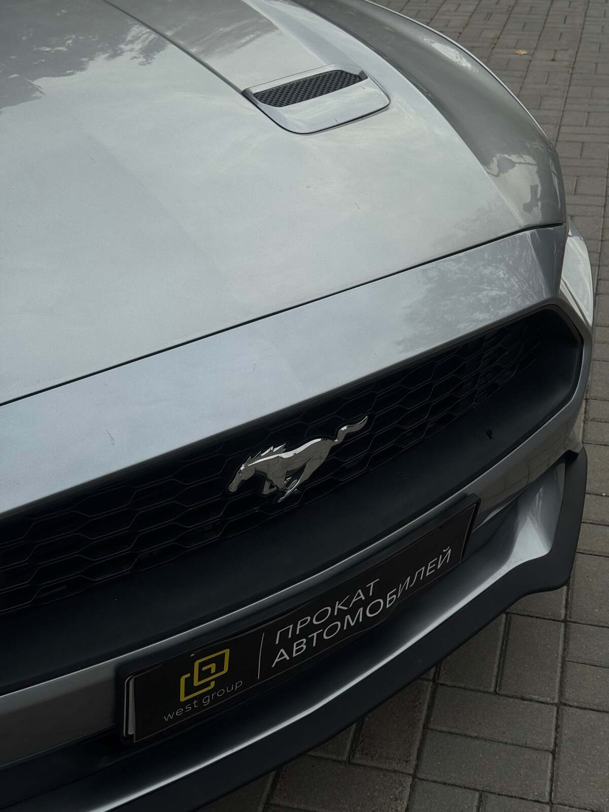 Ford Mustang Coupe Gray, 2020г