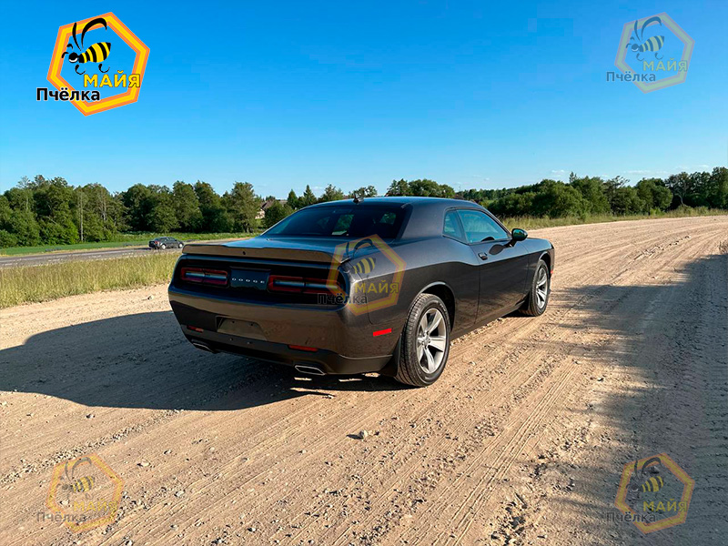 Dodge Challenger